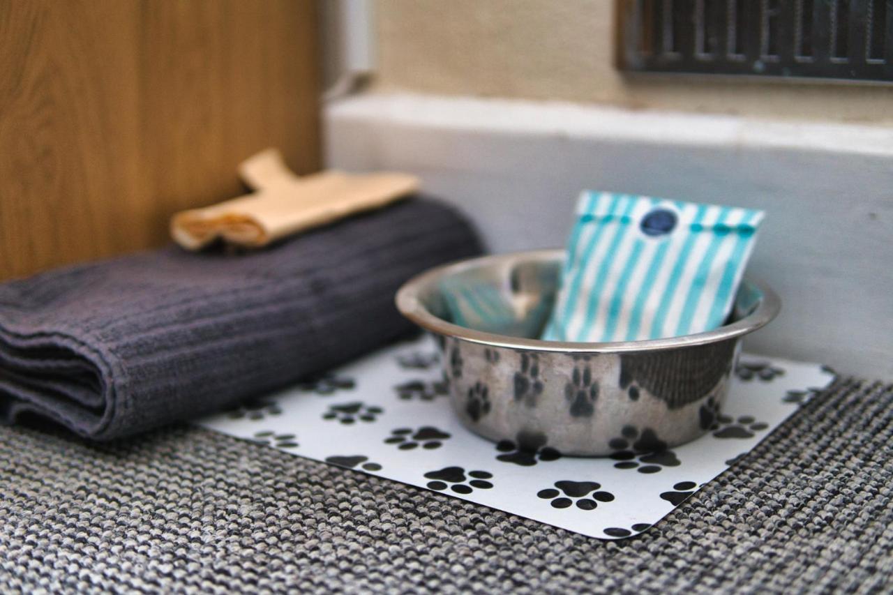 ペイントン St Weonards Bed & Breakfast エクステリア 写真